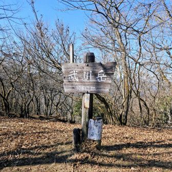 本日の最高峰 武川岳