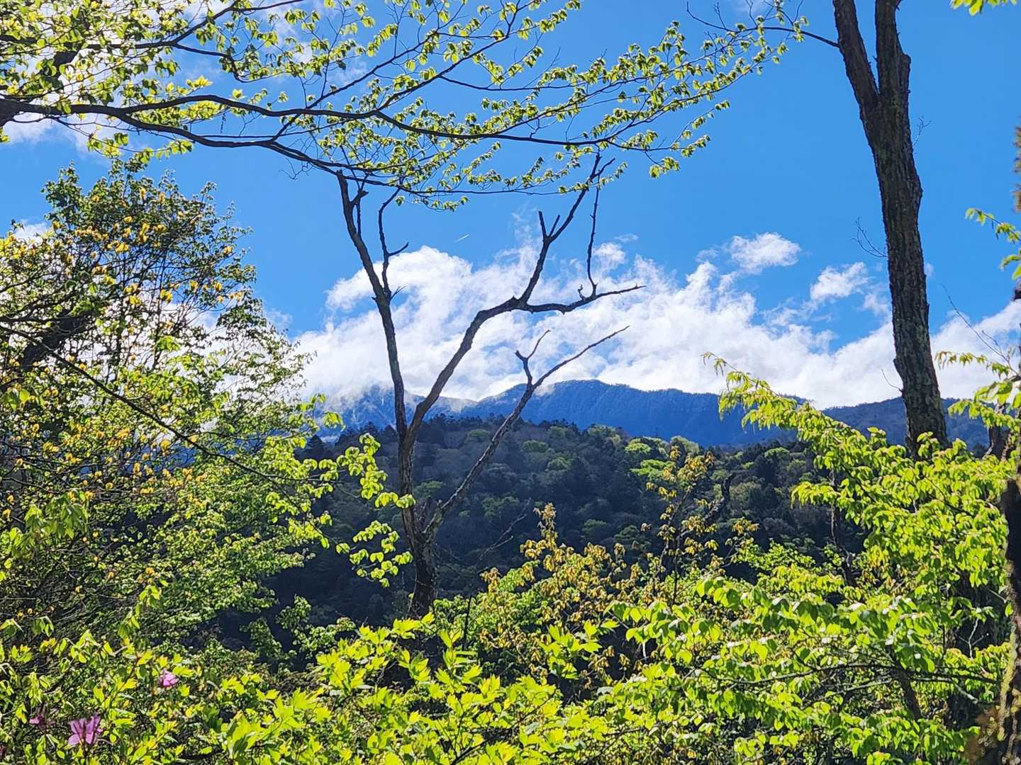 所々右手に中央アルプスが見え始める👀日差し弱く気温はずっと5℃くらい💦