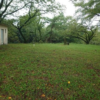 あっという間に山頂です。