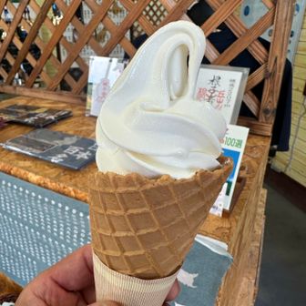 下山後のご褒美はやはりソフトクリーム🍦