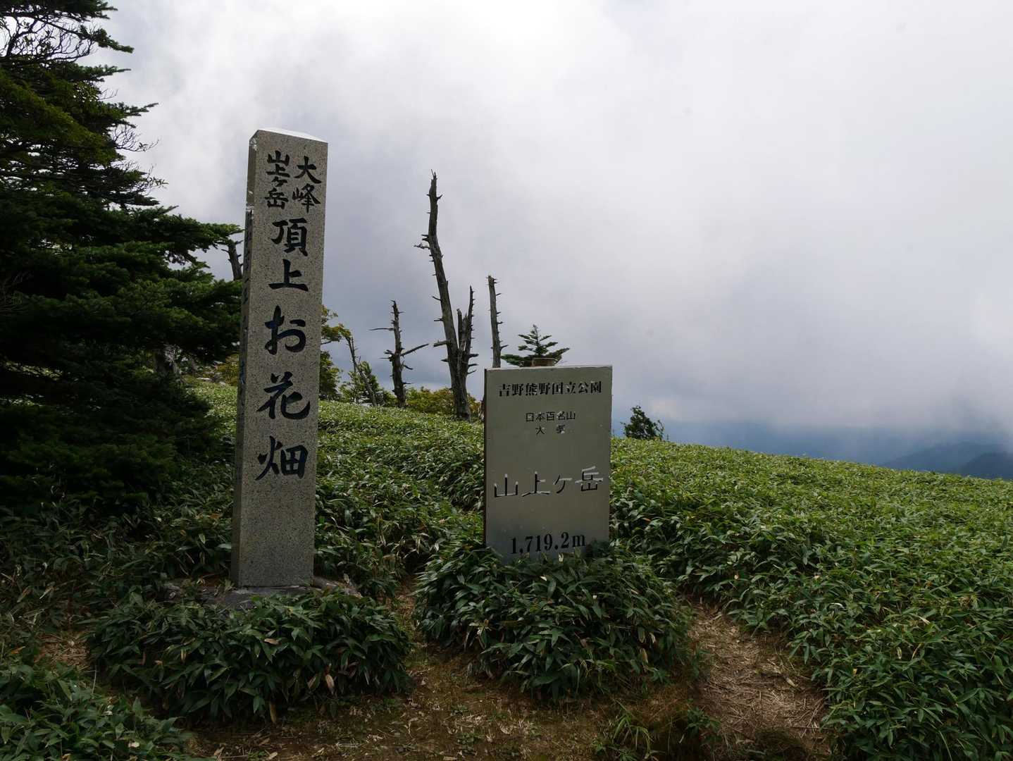 大峯山の頂上にはお花畑がありました🌸