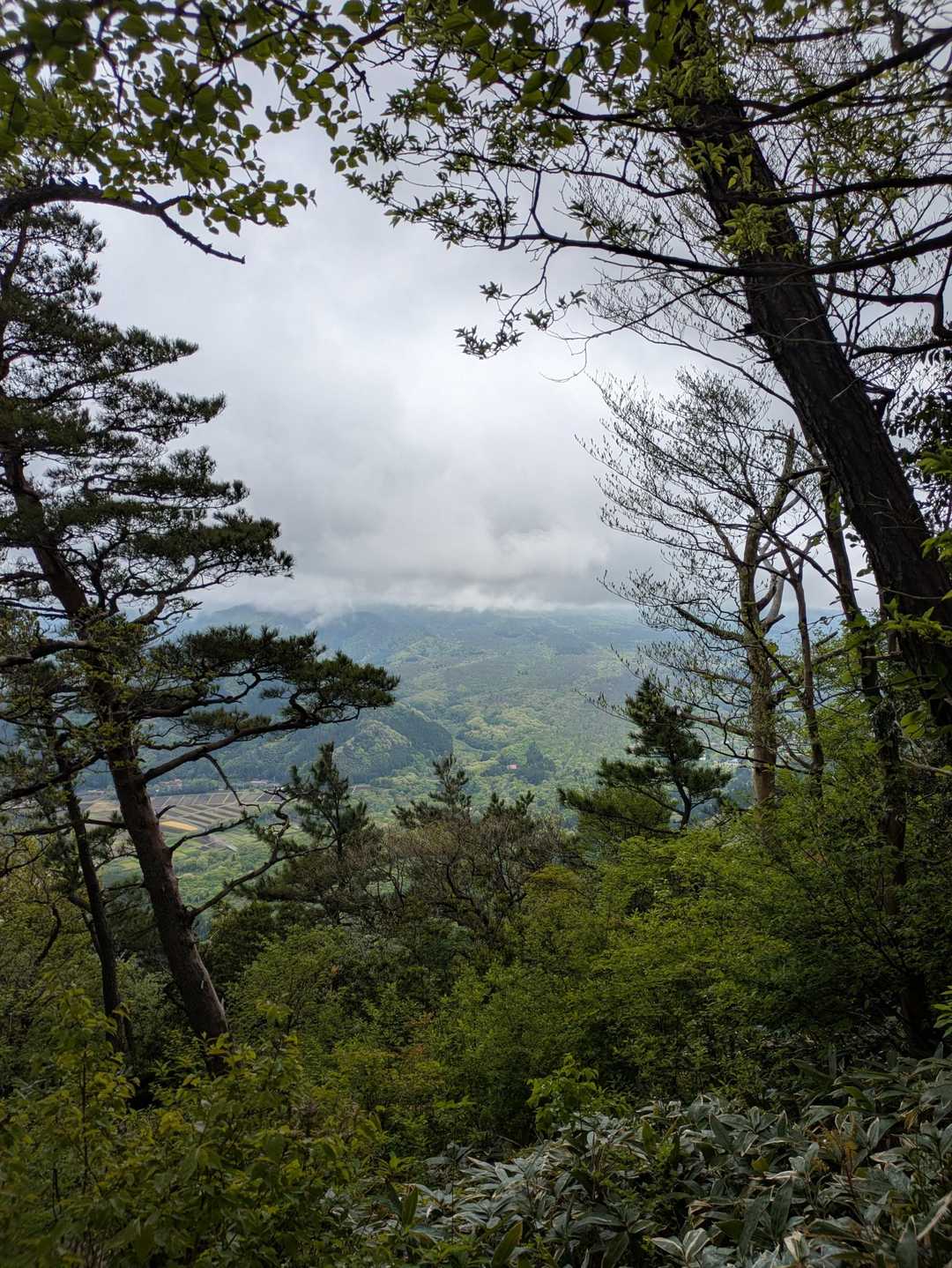 佐摩山-孝霊山 往復コースの写真