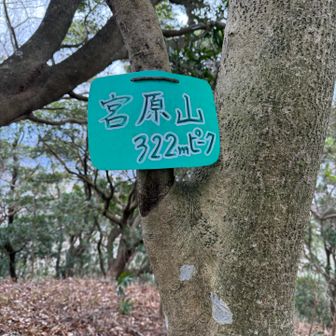 20.宮原山登頂⛰️