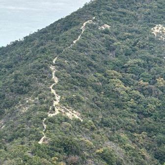 振り返ると、登山道がハッキリ見えます。