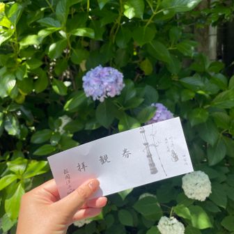 報国寺へ