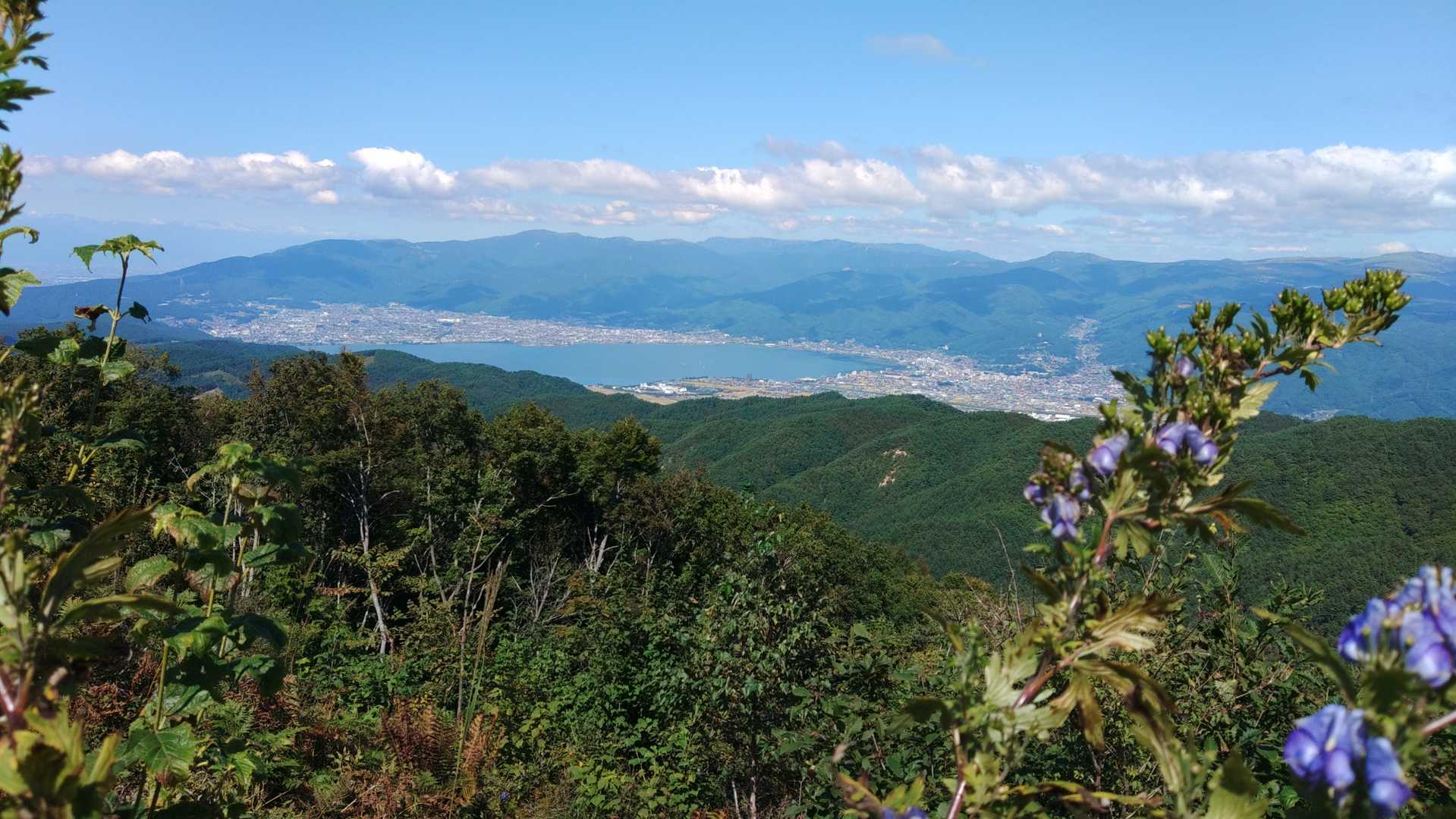 諏訪湖とトリカブト。タイトル写真にぴったり。腰を落ち着ける間もなく引き返します。