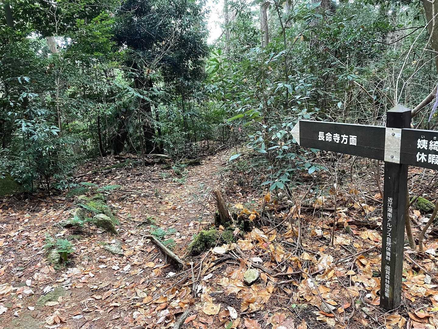 長命寺方面へ