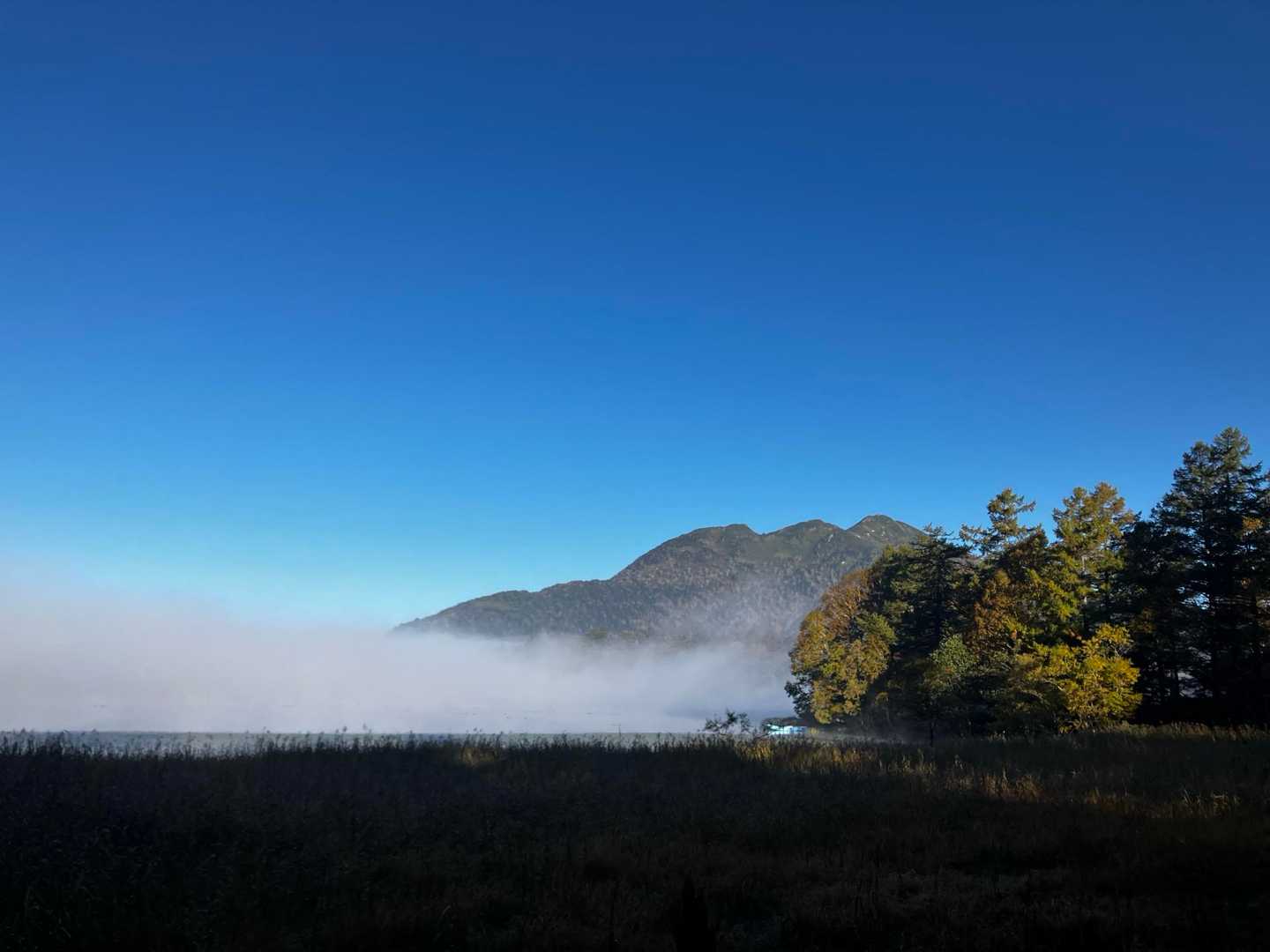 尾瀬沼の霧が抜けてきたよ