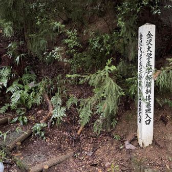 卯辰山の入口は医学部解剖体墓地の入口