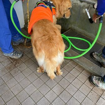 泥だらけのアンヨ洗って、
