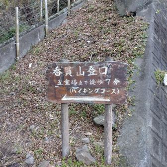 やっと着いたー