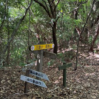山口登山口からとの合流点
