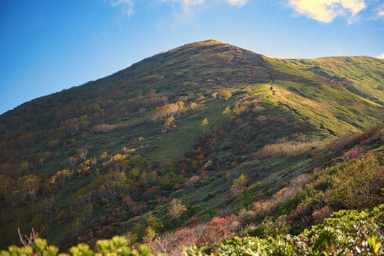 松手山-平標山-平元新道 周回コースの写真