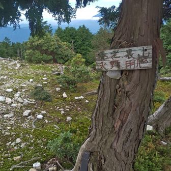 裏山に着弾っ✨