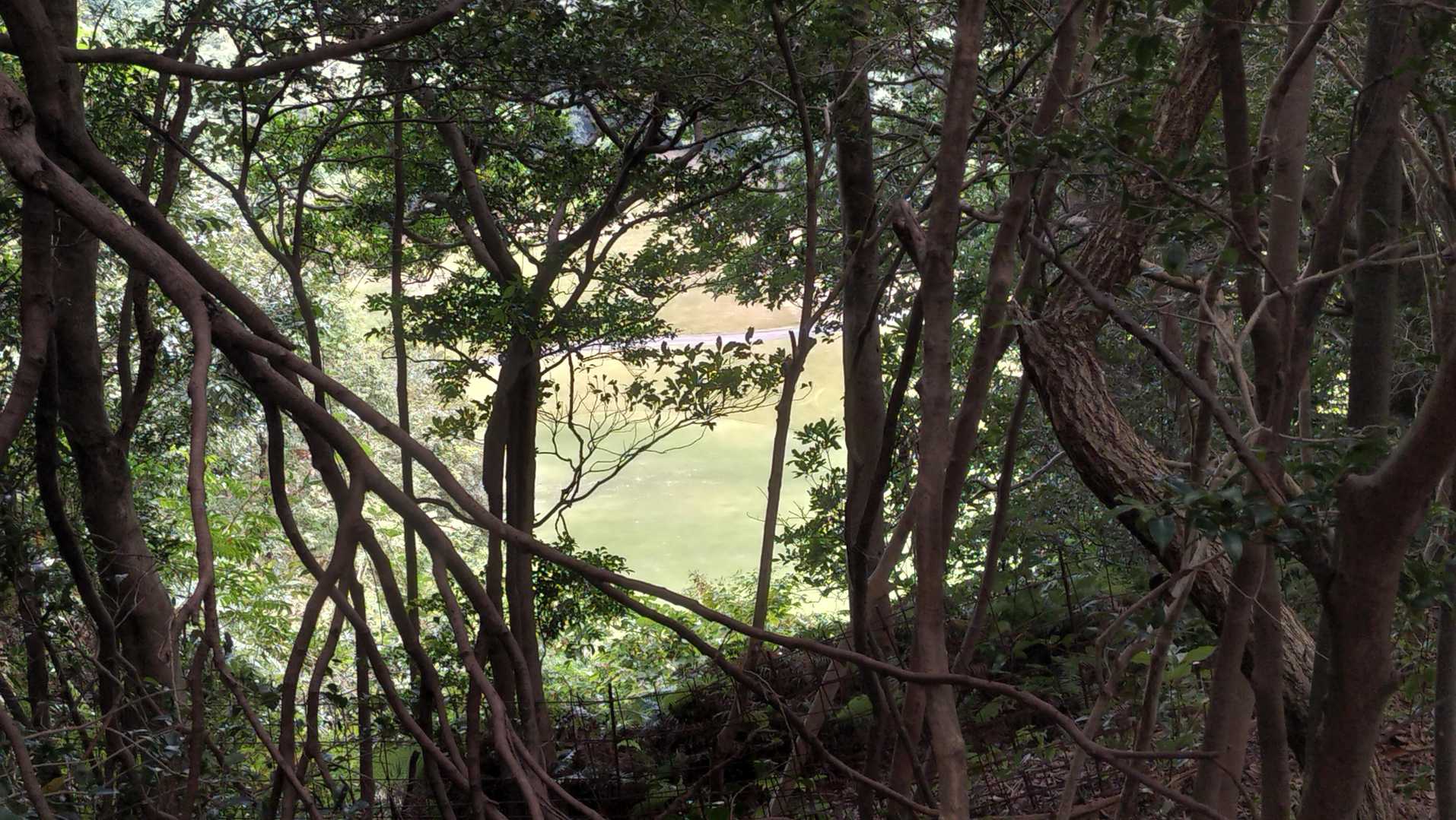 片縄山と猿山間の登山道から見えるゴルフ場のグリーン。