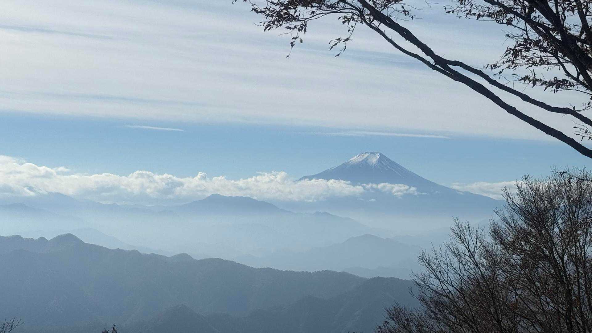 花と樹木、野鳥を愛でながら歩く、東京・奥多摩三頭山コースの写真