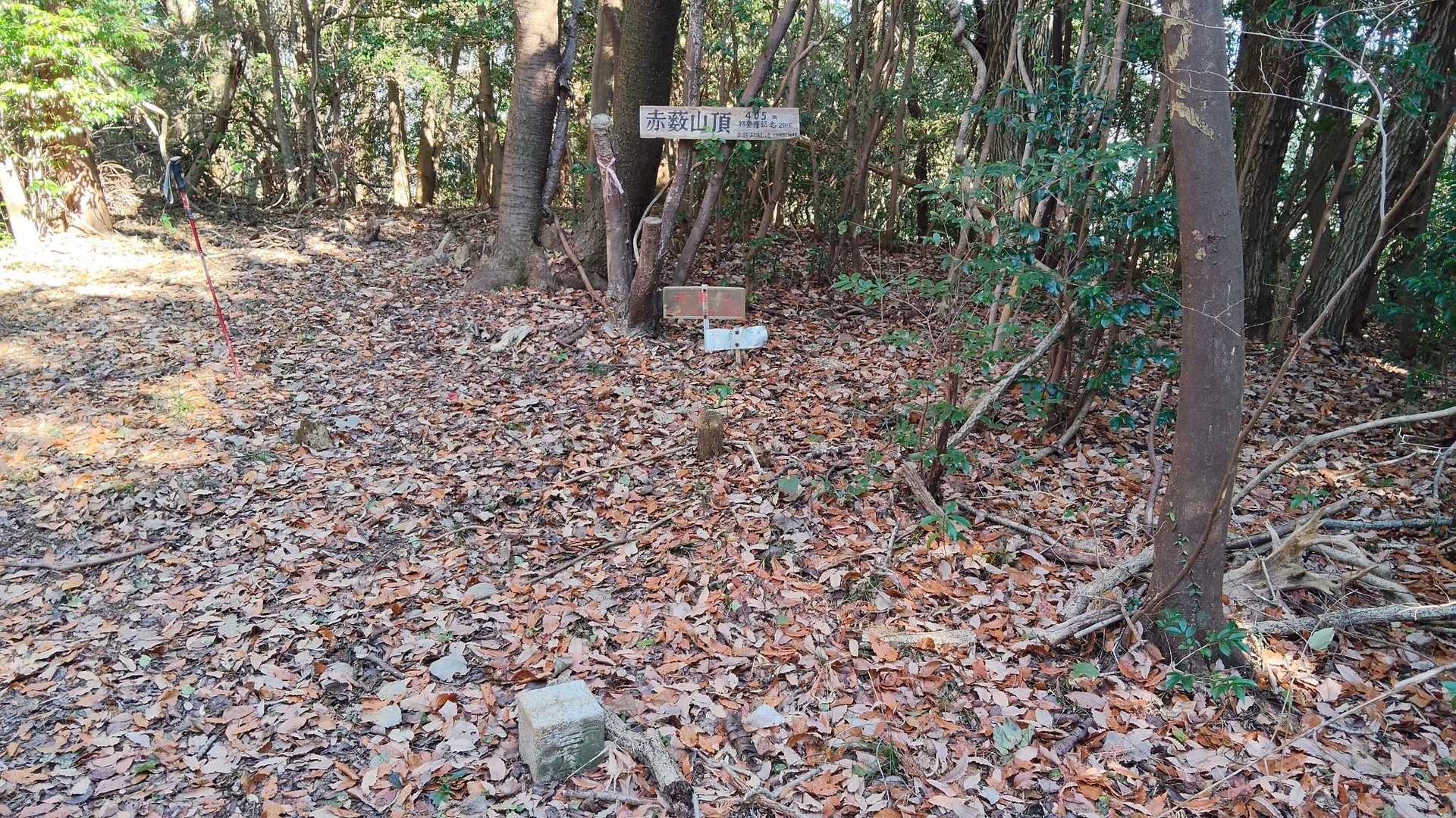山頂の様子　眺望なし。
