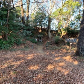 石尊山412m、祠がある、最高地点は少し先にある