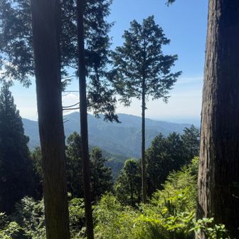 これでも今日一の景色