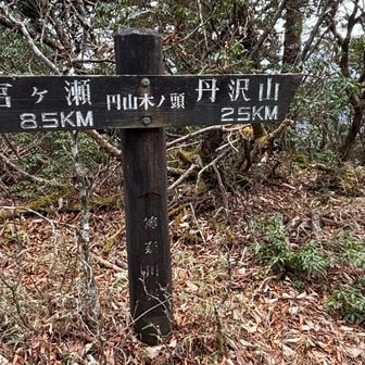 2つ目のピーク、
円山木ノ頭（えんざんぎ）