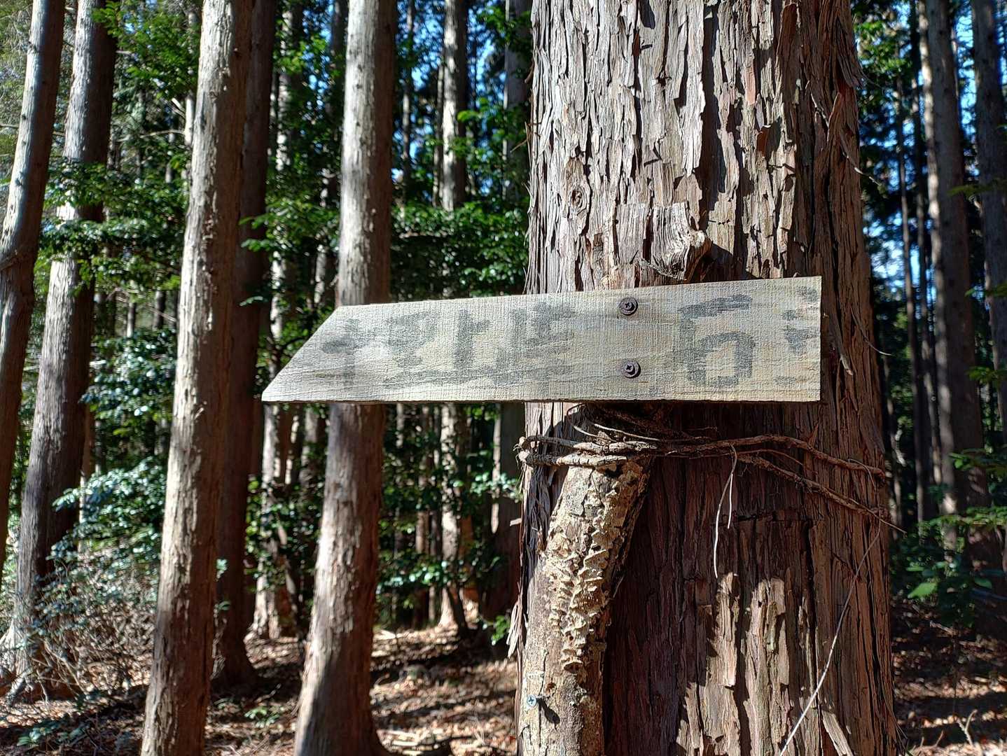 十里上峠へ
