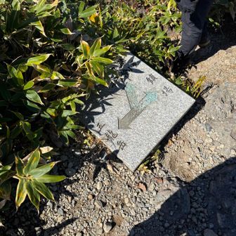 ここから新開道

（新開道は、噂通り厄介な道なので、ここにきて初めて噂に聞く八海山らしさを感じられました）
