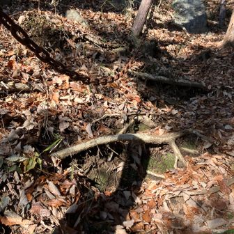 石が転がってきた鎖の道⛓️
ぶつかってたら、流血だ🩸

私が登り切る頃、違う道から登った旦那さんは一度下山し私が通ってきた道を駆けてきたのです…😱