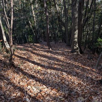 もっふもふなので滑るぞーー
気をつけろーー

ついお腹が出るのけぞる姿勢になってしまう
気づいて何度も直すけんだけど
前屈み姿勢難しい
