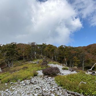 足場が岩で走りにくい🪨