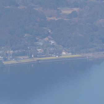 さっき行った菜の花花壇
