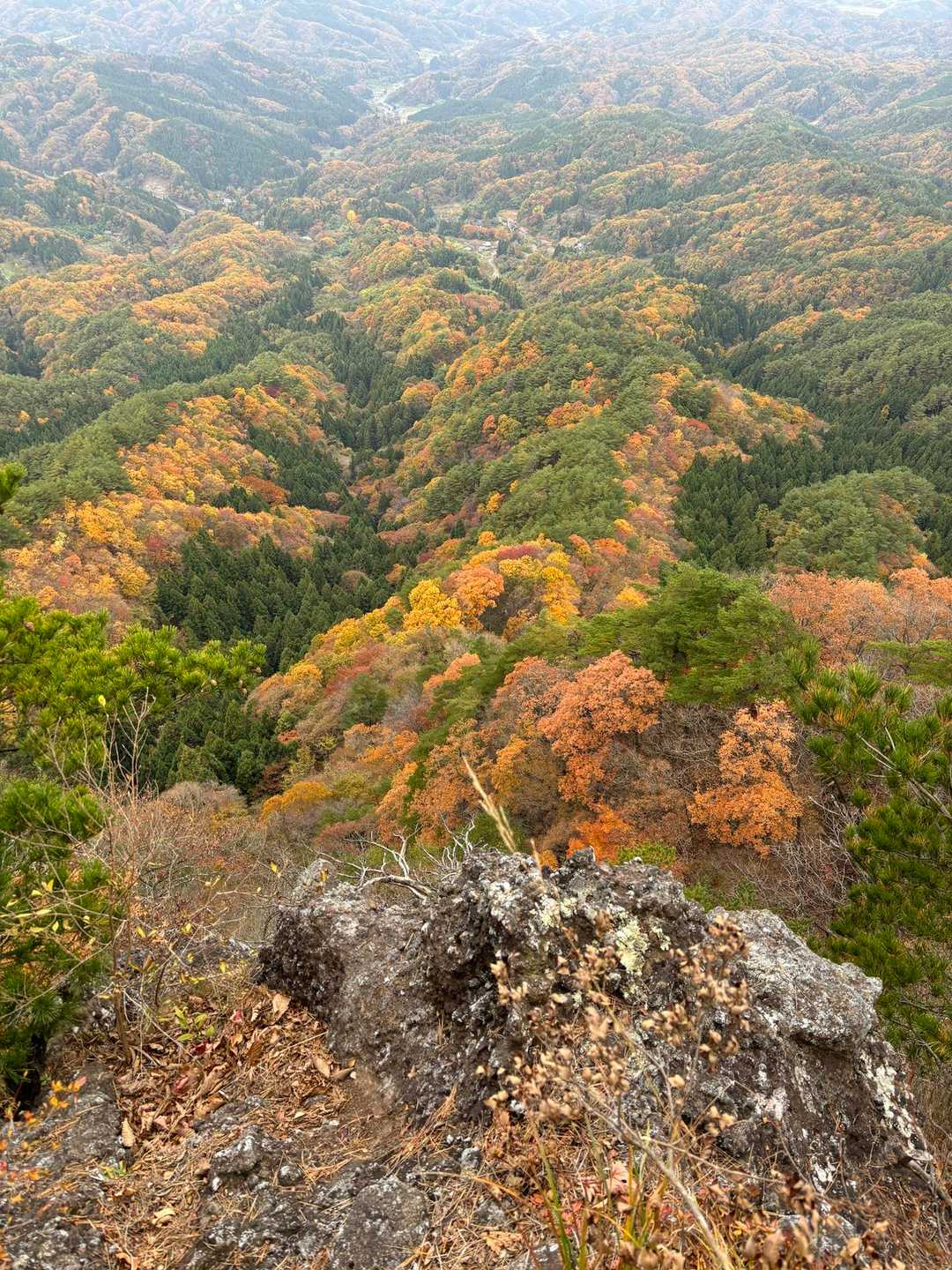 安全なところからも絶景見えた