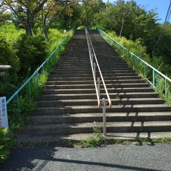求→この階段を好きになる方法😑