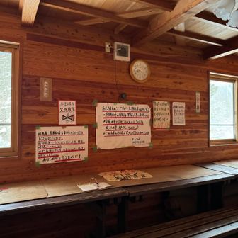 ここでどう遭難したんやろ？