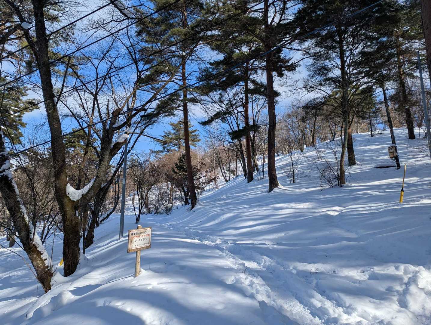 風も無く❄道もいいですね
