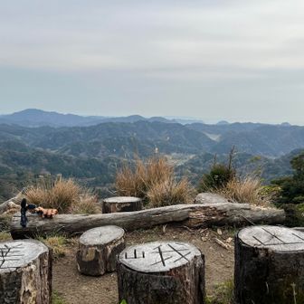 貸し切りで嵯峨山パノラマ