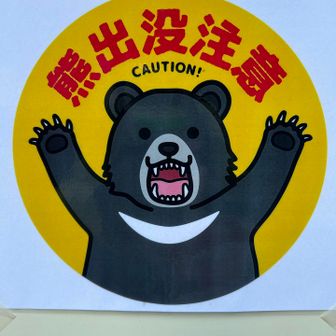 会いませんでした🐻