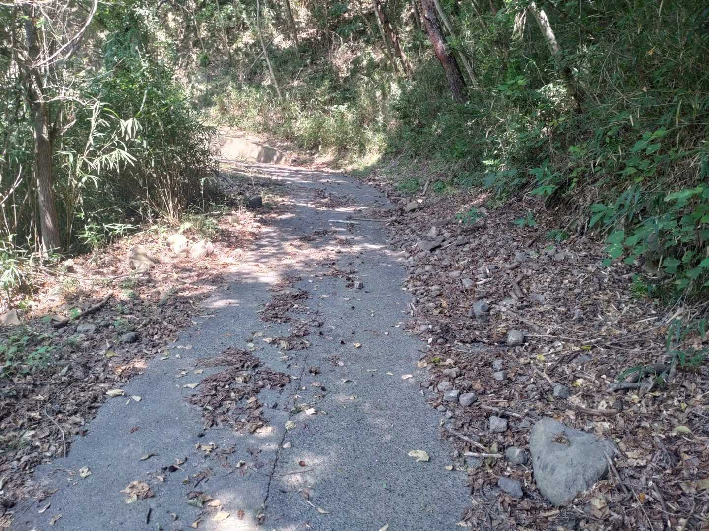 落石多し
普通車だとパンク注意かも