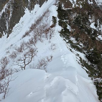 えーコレ通れんのかなあ😰

トレース跡はあるけど
気温高いから
どこもかしこも崩れそう💣️
いやーこれはムリだわ・・

万が一を運には任せられないので
さすがにここは撤退を判断

しゃーないすね
自然には逆らえません・・🥺
