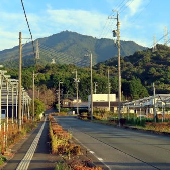 本宮山を正面に見て進む。いいお天気だ