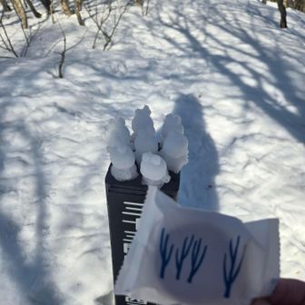 北海道のお土産📦✈️