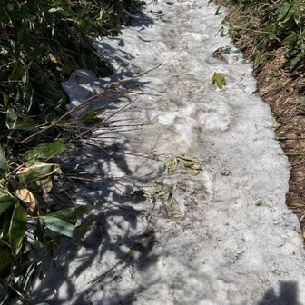 きょうばじめての雪道遭遇❄️