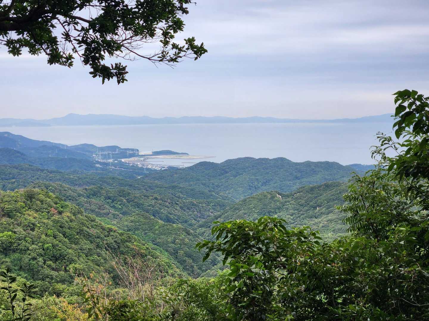 奥辺峠-大福山 往復コースの写真