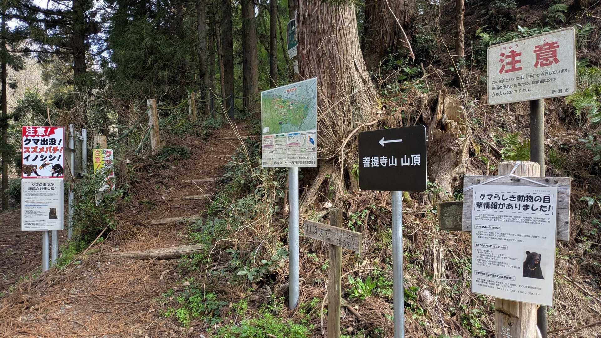 大沢森林公園からスタート
