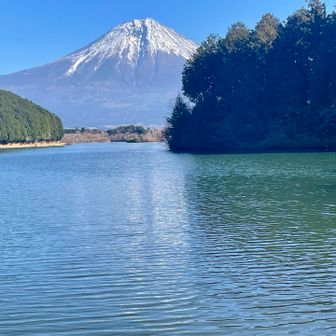 水面は風があってはっきり映らず