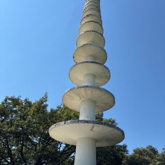 下からも見えていました。