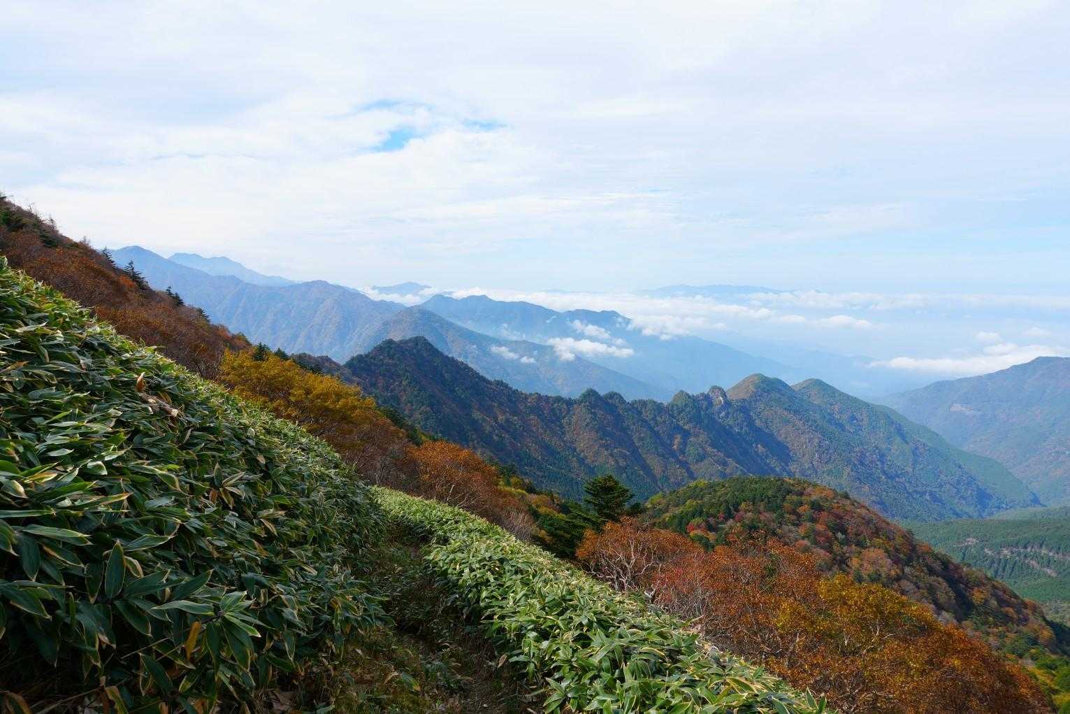 日が差してくれた✨