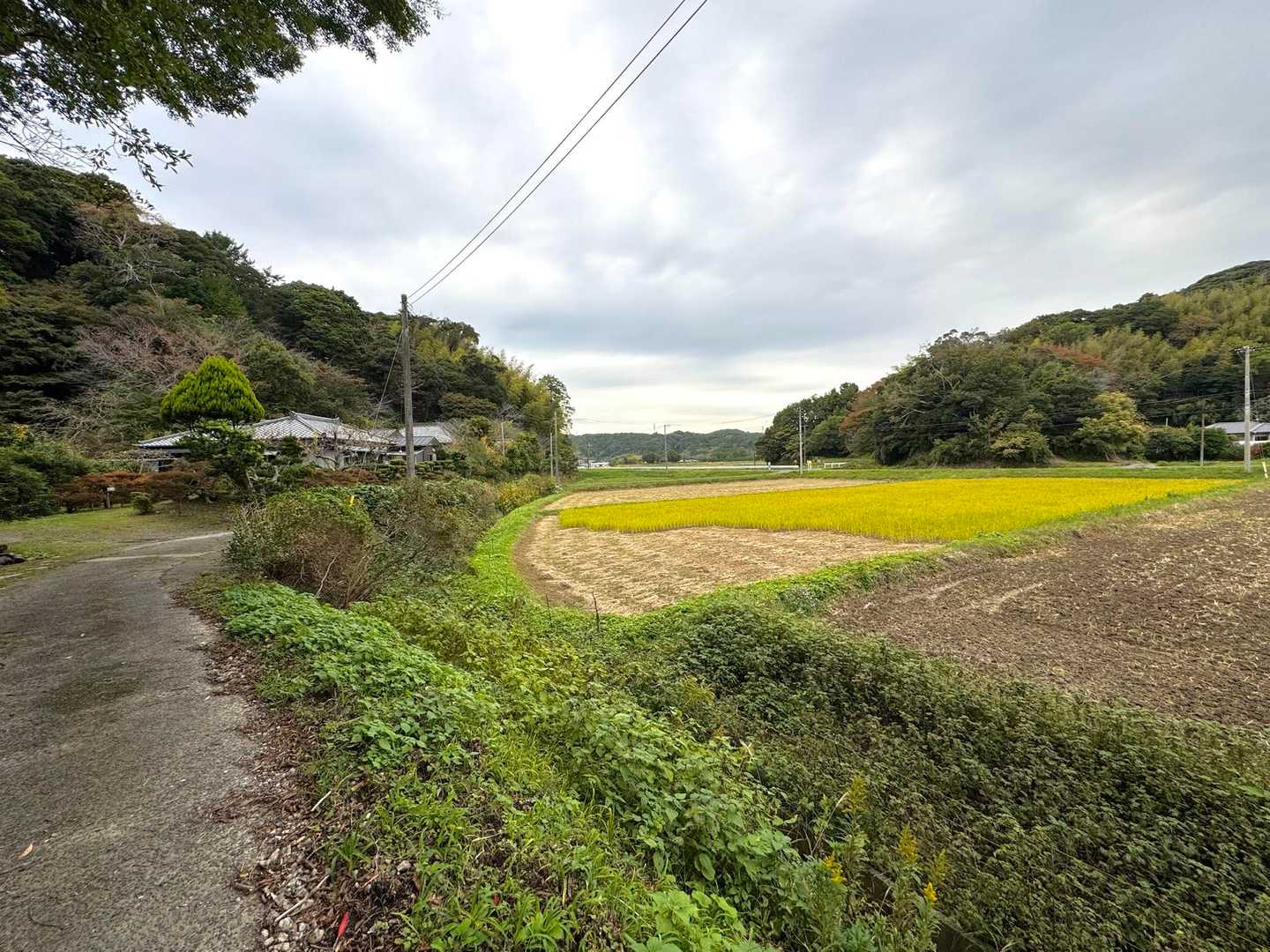 下山〜
この先のお宅のお母さんが、両手に柿をたくさん持って私たちを見ている
「どこからいらしたの〜？」と聞かれ
「東京です 千葉県には熊がいないので…」と言うと
「よかったら柿 持っていって〜 食べきれないの」と柿をたくさんくださった✨