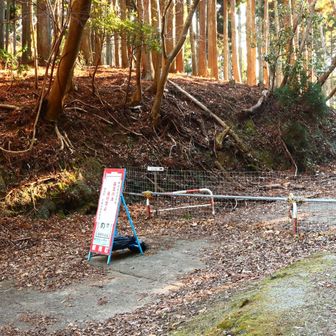 林道口到着。
小鋸山に行こうとする方多数で驚く。
この後も何人もすれ違いがあり、いつもと違う異常な感じに焦る