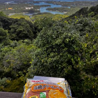 ここで昼食
今日は菓子パン三個