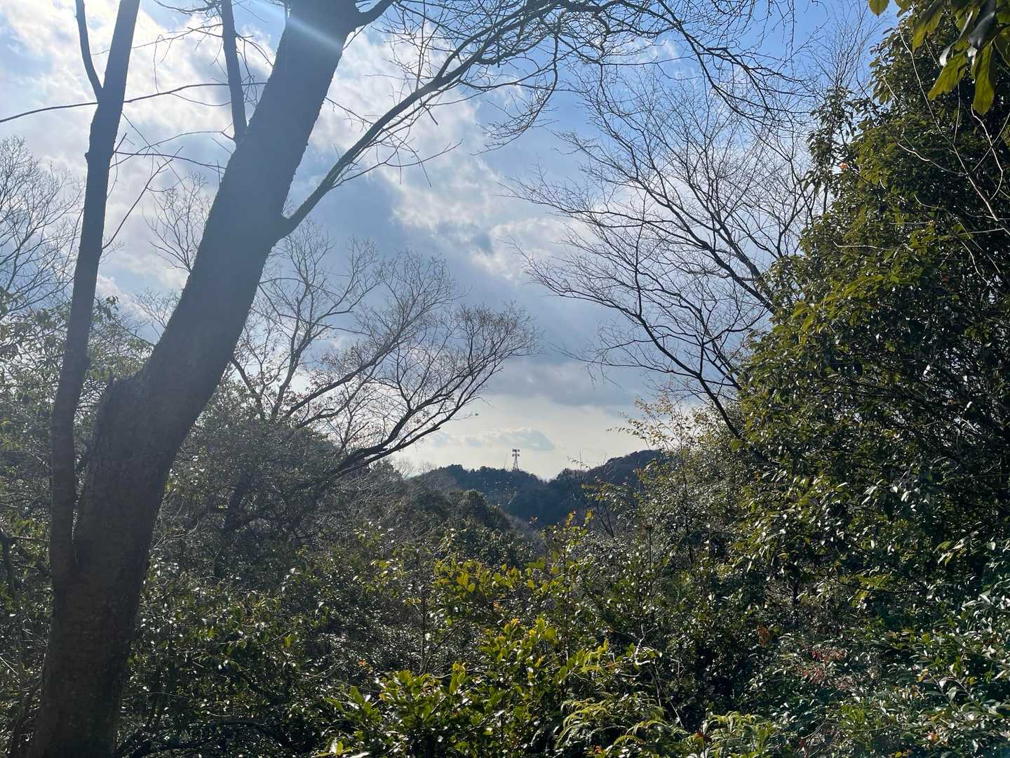 ここの分岐で山飯✨